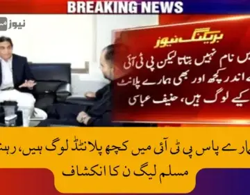 ن لیگی رہنما
